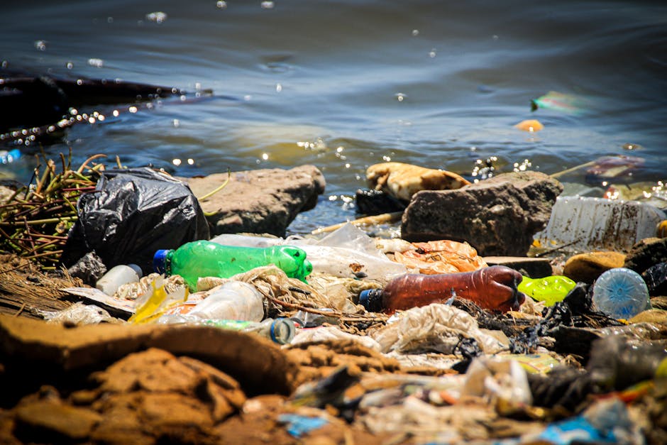 Photograph of a shoreline cluttered with various types of plastic waste, including bottles, containers, and bags, scattered across rocks and sandy ground. The plastics are in multiple colors such as g